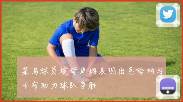 菜鸟球员埃奇库姆表现出色哈珀与卡布助力球队争胜